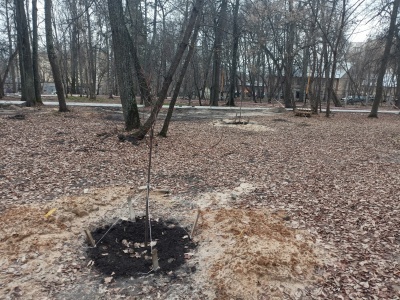 Детский парк - 17.jpg